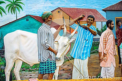 Farmer tending to cow. Gram Sanskruti Udyan, Pashan, Pune Editorial Stock Photo