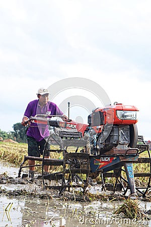 A farmer is tiring a rice field Editorial Stock Photo