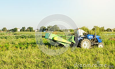 A farmer on a tractor digs potatoes in the farm field. Countryside. Food production. Harvesting potatoes in autumn. Extract root Stock Photo