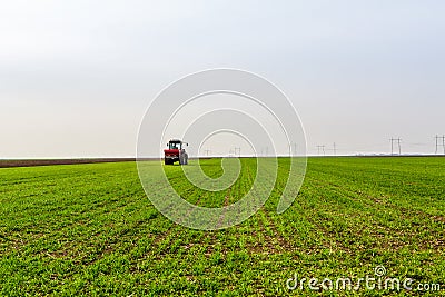 Farmer in tractor fertilizing wheat field at spring with npk Stock Photo