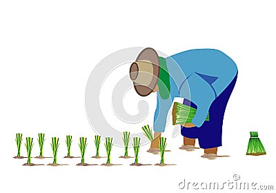 Farmer transplant rice seeding Vector Illustration