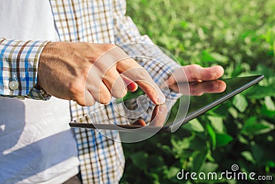 Farmer using digital tablet computer in cultivated soybean crops Stock Photo