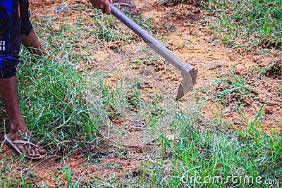 Farmer is using hoe to mow grass i the field. Mowing the grass in the field with shovel. Hoe with green pruning grasses. Stock Photo