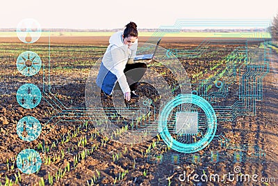 A farmer using a laptop and modern technology analyzes the data on humidity, temperature, light acidity, fertilizers and pests to Stock Photo