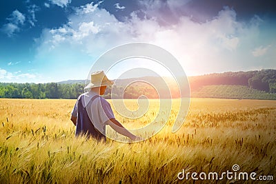 Farmer walking through a wheat field Stock Photo