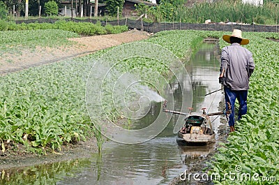 Farmer water plant in canal Editorial Stock Photo