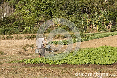 Farmer watering a farm field. Kampot, Cambodia Stock Photo