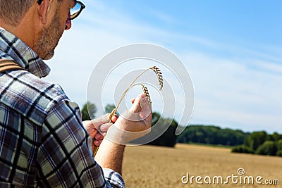 Farmer in a wheat field Stock Photo