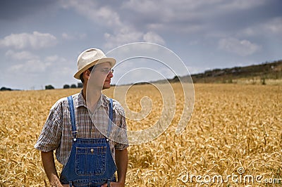 Farmer in a wheat field Stock Photo