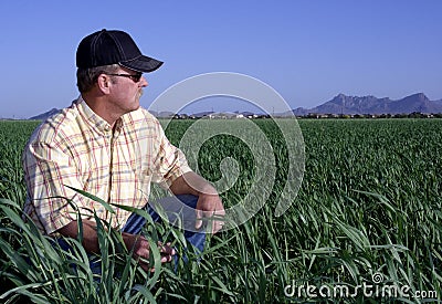 Farmer in wheat field Stock Photo