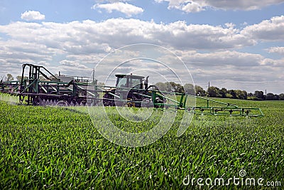 farmer wheat field spraying herbicides Editorial Stock Photo