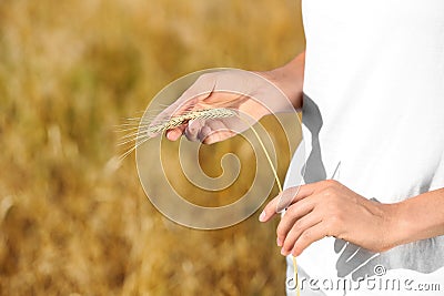 Farmer with wheat spikelet in field, closeup. Stock Photo