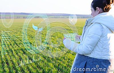 Farmer woman analyzes plants on the field using artificial intelligence. The received data is displayed on a virtual screen availa Stock Photo