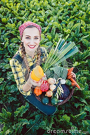 Farmer woman in a field offering organic vegetables Stock Photo