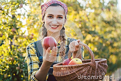 Farmer woman in fruit orchard holding apple in her hands Stock Photo