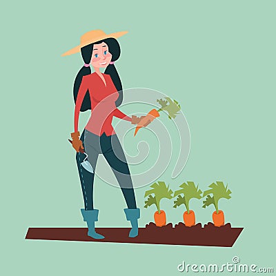 Farmer Woman Gather Carrot Harvest Eco Farming Vector Illustration