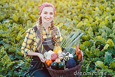 Farmer woman offering basket of healthy organic vegetables Stock Photo