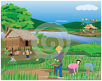 Farmer work in paddy field Vector Illustration