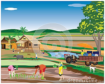 Farmer work in paddy field Vector Illustration