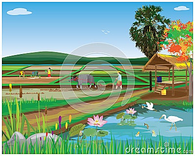 Farmer work in paddy field vector design Vector Illustration