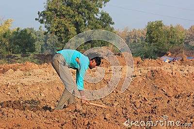 Farmer working in field, India Editorial Stock Photo
