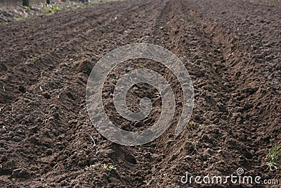 Farmer working in field Stock Photo