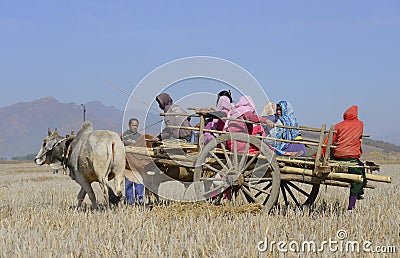 authentic country lifestyle Manipur India Northeast Editorial Stock Photo