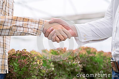 Farmers and businessmen agreed to do business together while holding hands. Stock Photo
