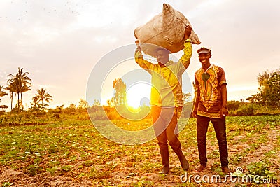 Farmers carry harvested vegetables at sunrise in Mwanza, Tanzania Editorial Stock Photo