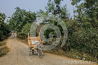 Farmers carry wooden stff on their bicycles at a village Editorial Stock Photo