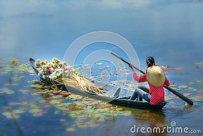 Farmers carrying lilies boating through rural marshland in early morning Editorial Stock Photo