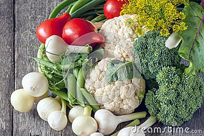 The farmers harvest different vegetables in late summer in the organic garden. Healthy, sustainable food. Autumn. Stock Photo