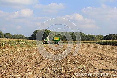 Farmers are harvesting corn with big machinery in the fields Editorial Stock Photo