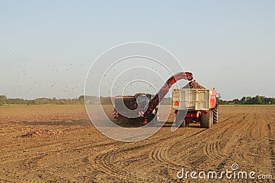 An onion harvester is harvesting onions at a stormy day in the dutch countryside in summer Editorial Stock Photo