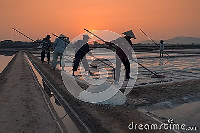.Farmers harvesting salt on sunrise Editorial Stock Photo