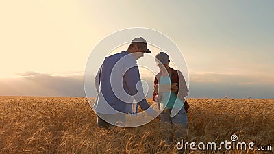 Farmers male and female working with a tablet in wheat field, in the sunset light. businessmen studies income in Stock Photo