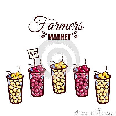 Farmers Market Berries Vector Illustration