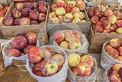 Farmers Market Display of Newly Harvested Autumn Orchard Apples For Sale Stock Photo