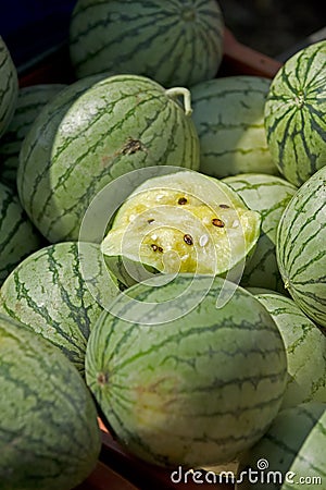 Farmers Market fresh watermellon Stock Photo