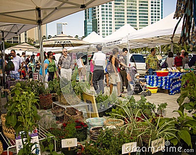 Farmers Market Honolulu, Oahu Hawaii Editorial Stock Photo