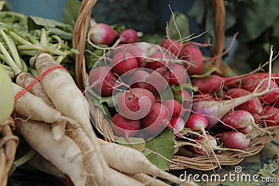 Farmers Market Radish Stock Photo