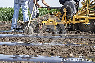 Farmers Preparing Tractor Attachment for Plastic Mulch Bed Lying Stock Photo