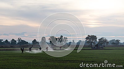 Farmers spraying herbicides. Stock Photo