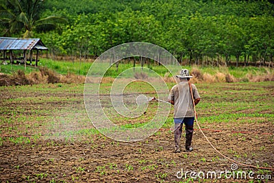 Farmers spraying pesticide Editorial Stock Photo