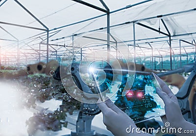 Farmers use futuristic tablet to inspect robotic arm harvest produce and monitor agricultural product vegetable farm,concept Stock Photo