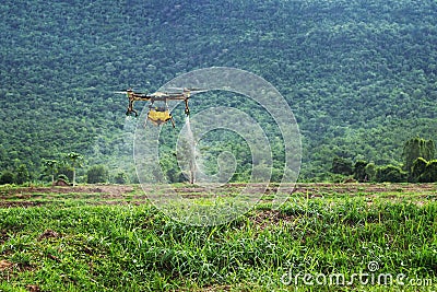 farmers are using Flying drone spraying medicine in agriculture Editorial Stock Photo