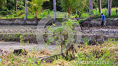 Farmers who work on agricultural land to plant the seeds that have been provided. Editorial Stock Photo