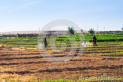 Farmers working on the fields Editorial Stock Photo