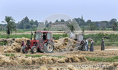 Farmers working with a grain thresher at Luxor in Egypt. Editorial Stock Photo