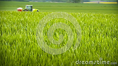 Farming. Agriculture Background. Stock Video - Video of earth, agronomy:  72682949